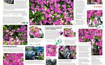 Lookfantastic Spring Deals