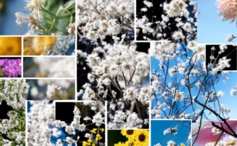 Managing Year-Round Allergies