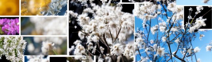 Managing Year-Round Allergies