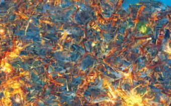 Omicron Impact on Holiday Plans