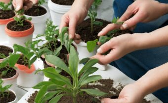 Plant Propagation Tips