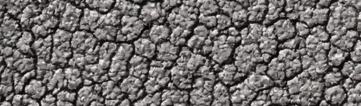 Spot Treatments for Dry Patches