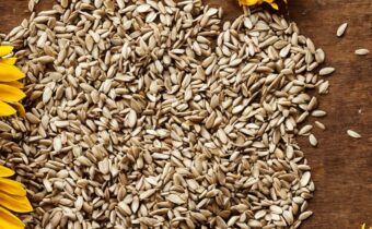 Sunflower Seed Butter Benefits