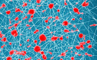 The Science Behind Skin Cell Turnover