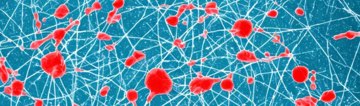 The Science Behind Skin Cell Turnover