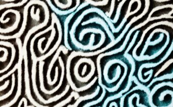 Understanding Sisu Philosophy