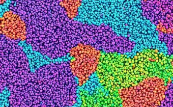 Understanding Your Scalp Microbiome