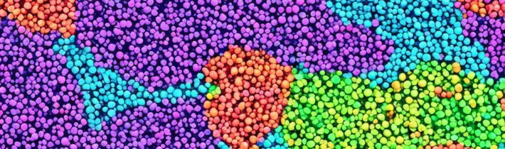 Understanding Your Scalp Microbiome