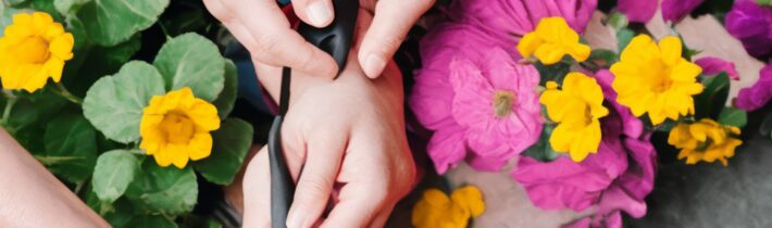 Uplifting Self-Nurturing Activities