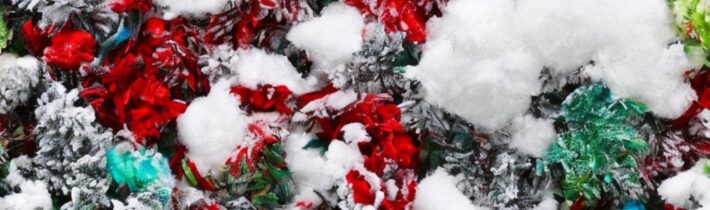 Wintertime Bad Breath: Causes and Solutions for Fresh Breath All Season Long