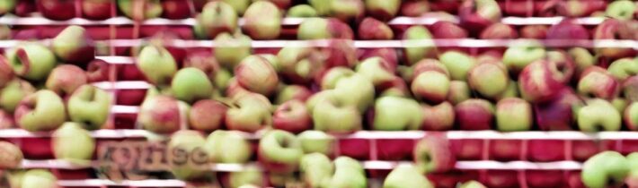 Are Bruised Apples Safe?