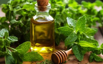 Benefits of Oregano Oil