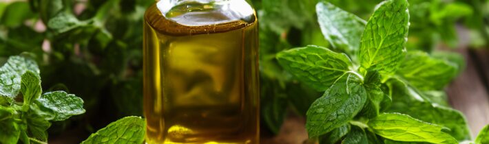 Benefits of Oregano Oil