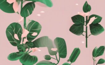 Coffee Filter Plant Hack