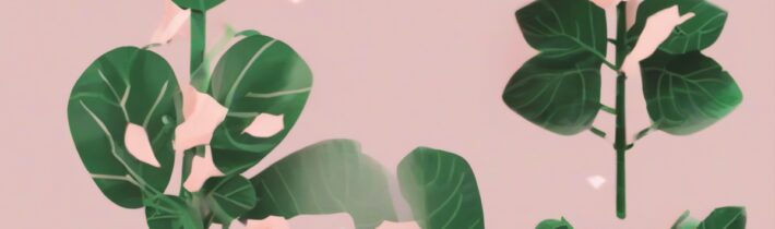 Coffee Filter Plant Hack