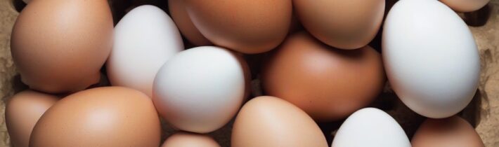 Eggs Aren’t Just for Breakfast