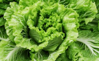 Latest Romaine Lettuce E. Coli Outbreak