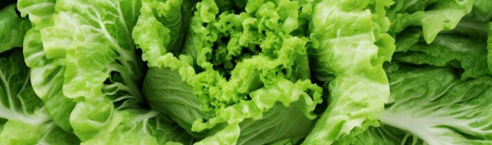 Latest Romaine Lettuce E. Coli Outbreak