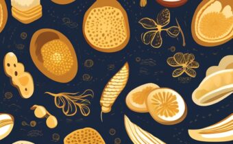 Maca Benefits for Skin and Hair