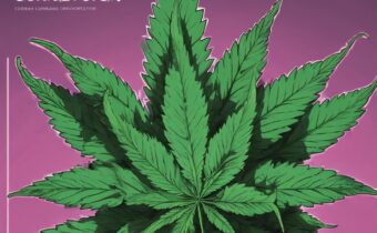 Markle’s Cannabis Connection