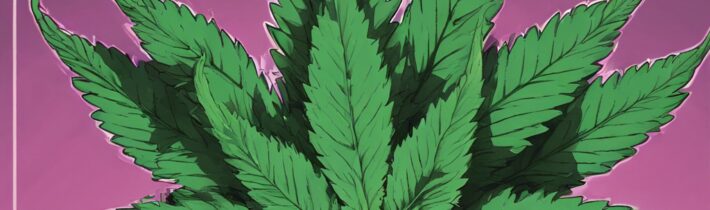 Markle’s Cannabis Connection