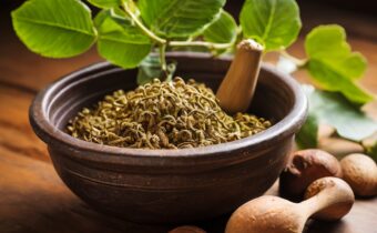 Understanding Triphala Benefits