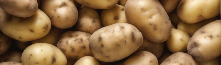 When Do Potatoes Go Bad? Signs of Spoilage and Storage Tips