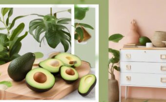 Avocado Home Decor Trend