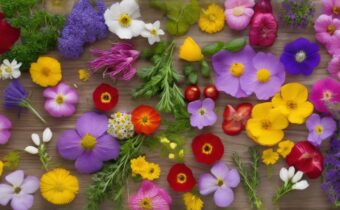 Edible Flowers and Herbs