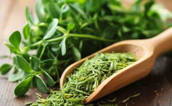 Health Benefits of Alfalfa