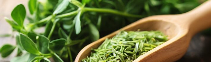 Health Benefits of Alfalfa