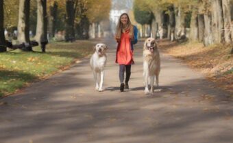 Making Walking Fun Again