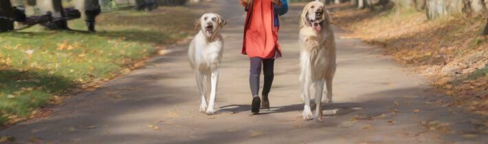 Making Walking Fun Again